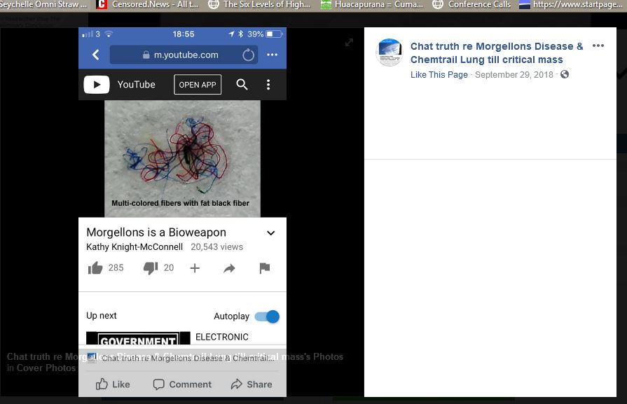 2019-04-09 19_21_18-Chat truth re Morgellons Disease &amp; Chemtrail Lung till critical mass - Home _ Fa